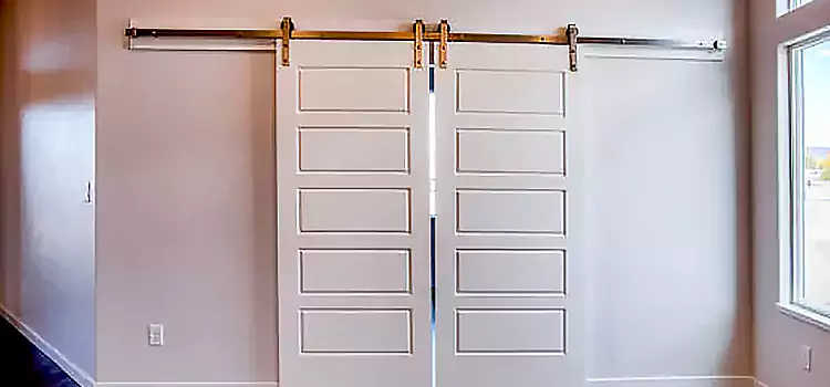 Glass Barn Door with Installation Hardware Kit Bethesda